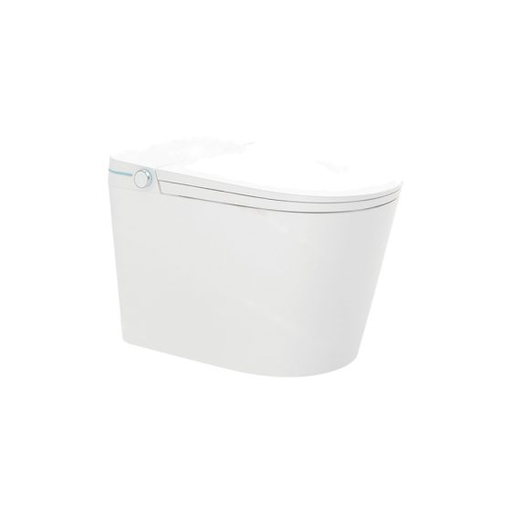 LT-TO-1065-B-W white smart-toilets