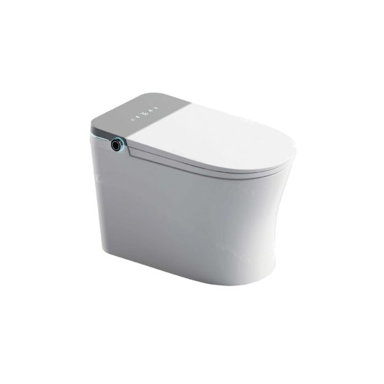 LT-TO-1065-WB-GR patterned smart-toilets