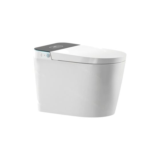 LT-TO-1070-WC-BL white smart-toilets