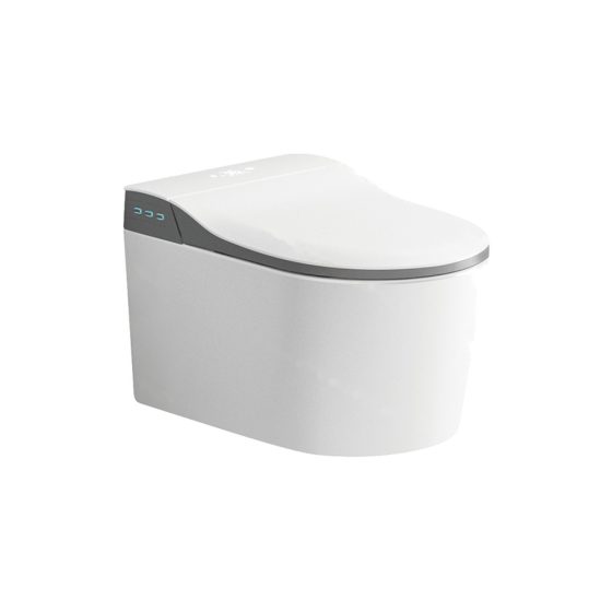 LT-TO-1072-WD-GR white smart-toilets
