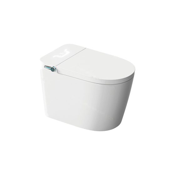 LT-TO-1074-WC white smart-toilets