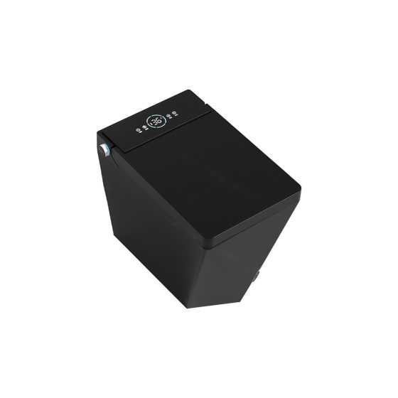 LT-TO-1080-WB-BL black smart-toilets