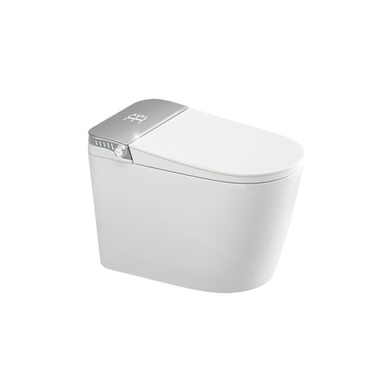LT-TO-1081-D white smart-toilets