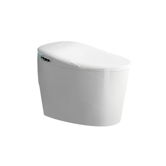 LT-TO-1084-WA patterned smart-toilets