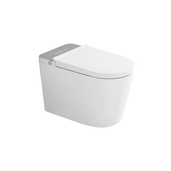 LT-TO-1092-C-WLG white smart-toilets