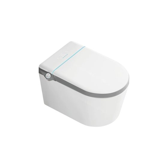 LT-TO-1093-WC-GR white smart-toilets
