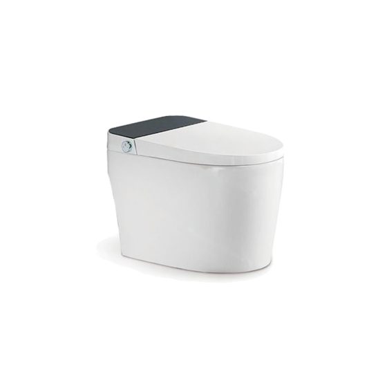 LT-TO-1108-D-WBL white smart-toilets