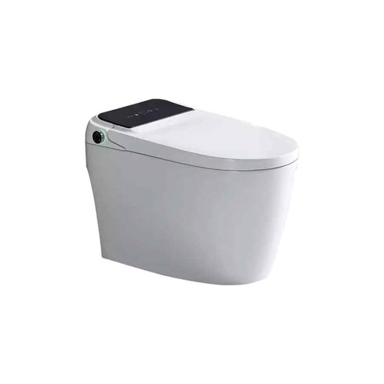 LT-TO-1109-C-W grey smart-toilets