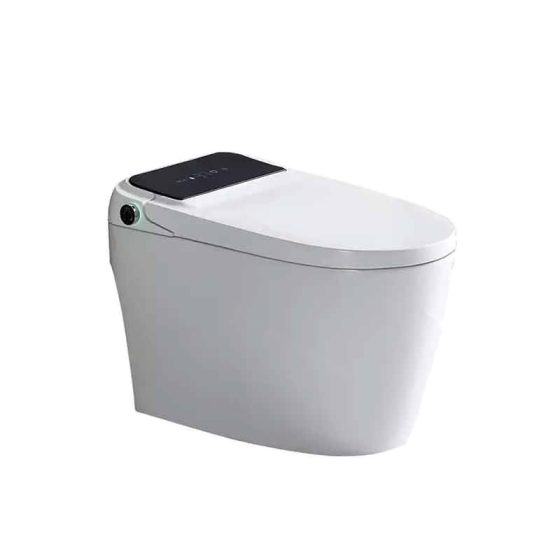 LT-TO-1109-WC-W grey smart-toilets