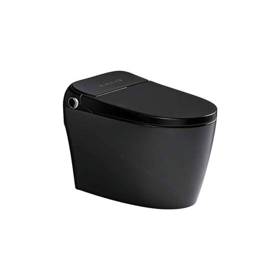 LT-TO-1109-WE-BL black smart-toilets