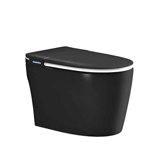 LT-TO-1110-WC-BL black smart-toilets