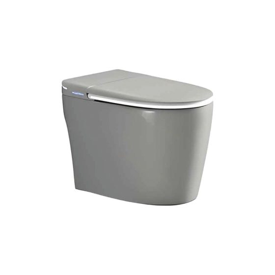 LT-TO-1110-WC-GR grey smart-toilets