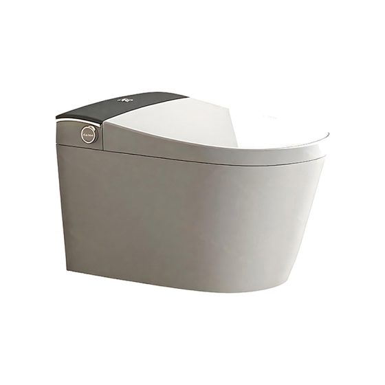 LT-TO-1111-C patterned smart-toilets