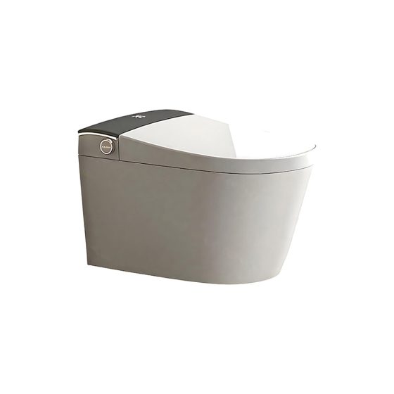 LT-TO-1111-WC patterned smart-toilets