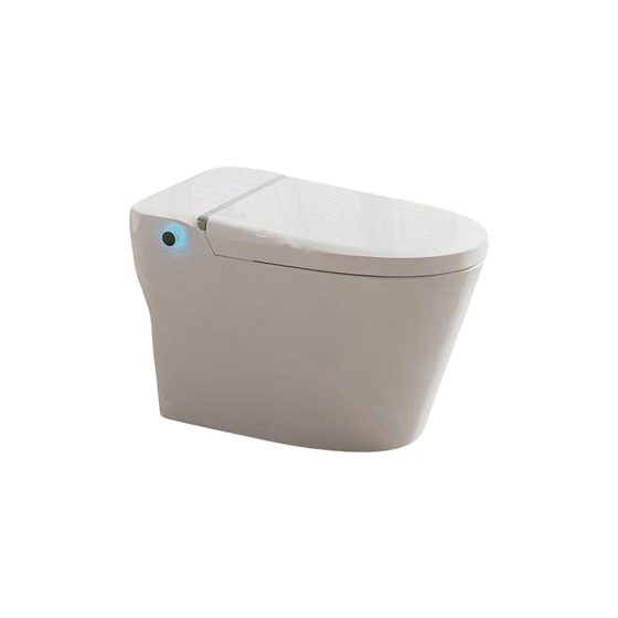 LT-TO-1118-B patterned smart-toilets
