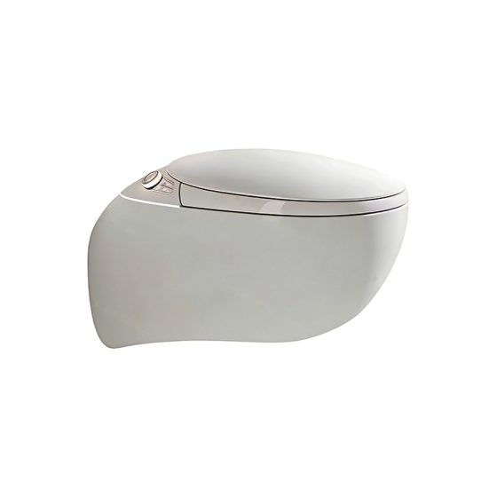 LT-TO-1119-WC grey smart-toilets