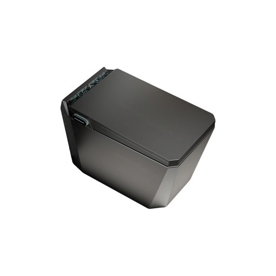 LT-TO-1120-WB-BL black smart-toilets