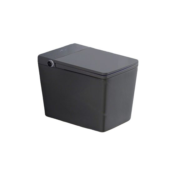 LT-TO-1124-WC-GR black smart-toilets