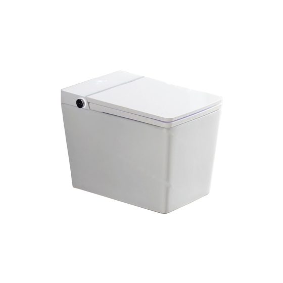 LT-TO-1124-WC-W white smart-toilets