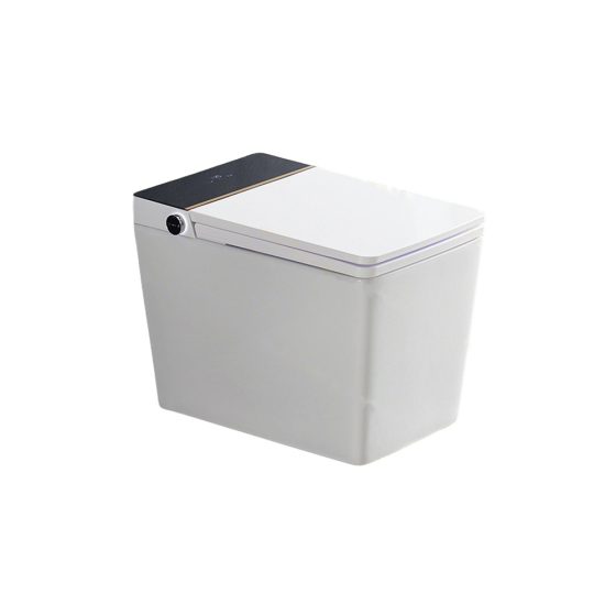 LT-TO-1124-WC-WBL patterned smart-toilets