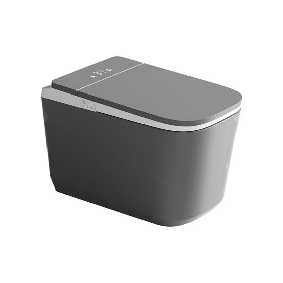 LT-TO-1135-WB-GW black smart-toilets