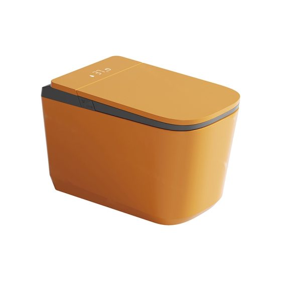 LT-TO-1135-WB-WO patterned smart-toilets