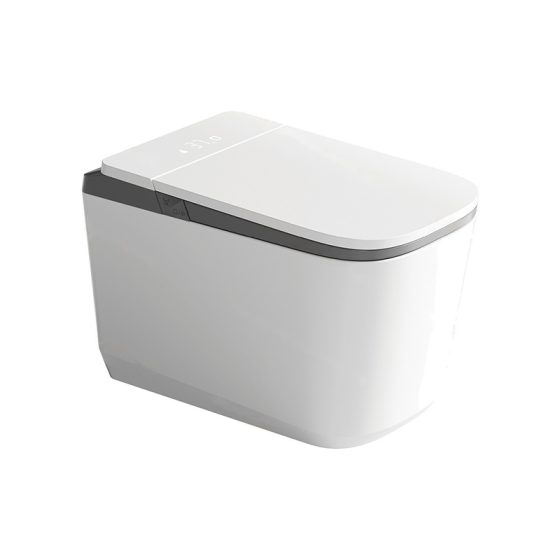 LT-TO-1135-WC-WG grey smart-toilets