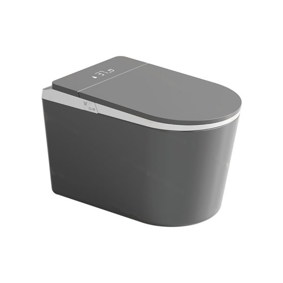 LT-TO-1136-WA-GW black smart-toilets
