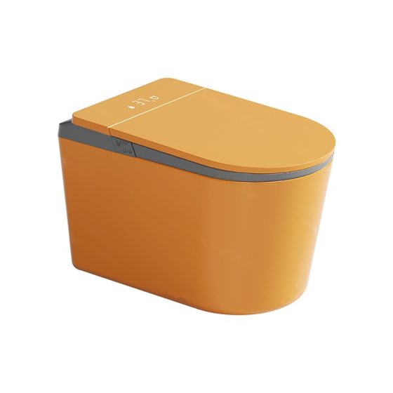 LT-TO-1136-WA-WO patterned smart-toilets