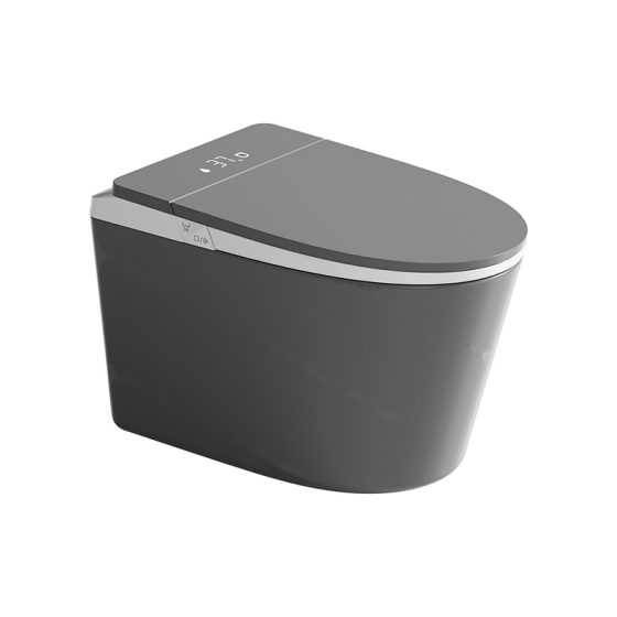 LT-TO-1137-WA-GW black smart-toilets