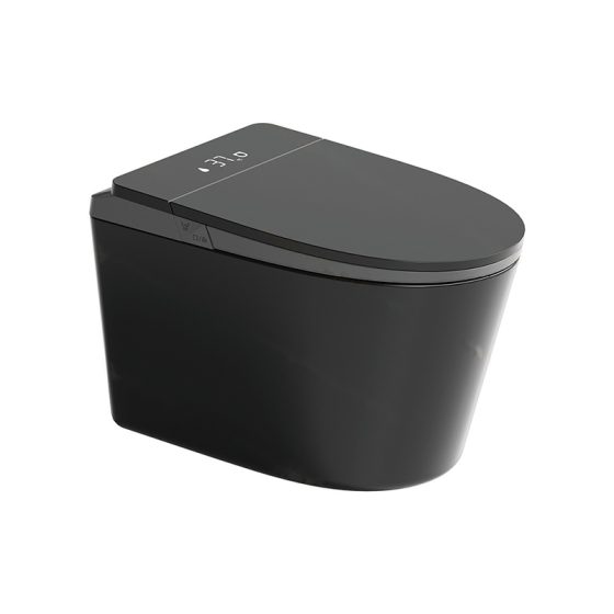 LT-TO-1137-WC-BLG black smart-toilets