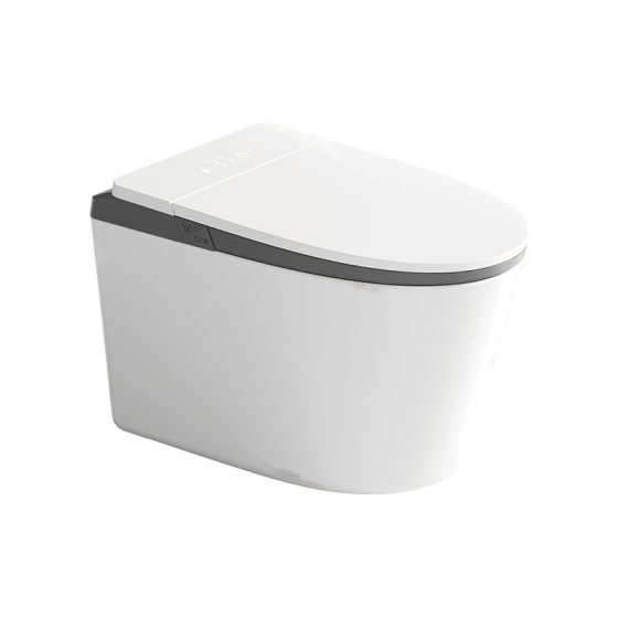 LT-TO-1137-WC-WG white smart-toilets