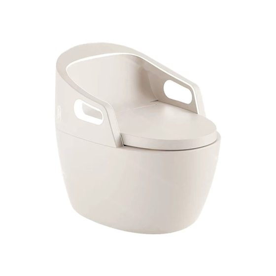 LT-TO-1138-WB-IV white smart-toilets