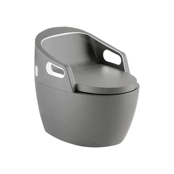 LT-TO-1138-WB-MG grey smart-toilets