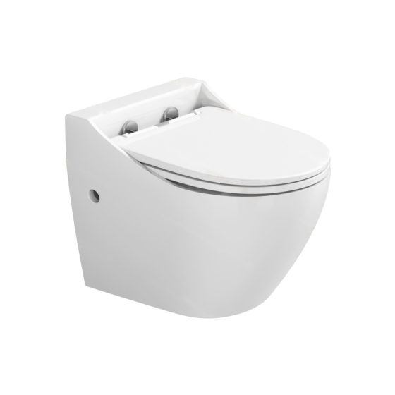 LT-WHT4046s white wall-hung-toilets