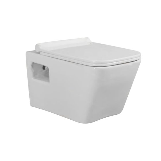 LT-WHT4079 white wall-hung-toilets